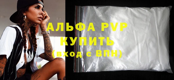индика Протвино