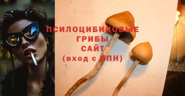 индика Протвино