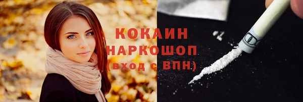 индика Протвино