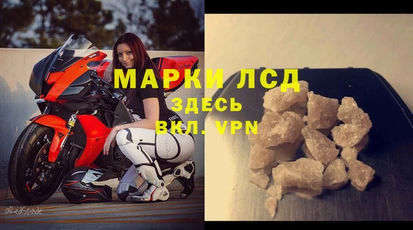 индика Протвино