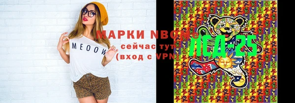 индика Протвино