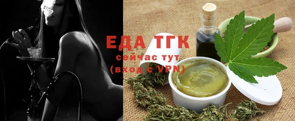 стаф Корсаков