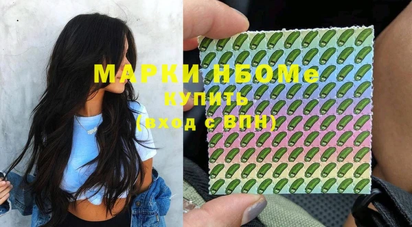 индика Протвино