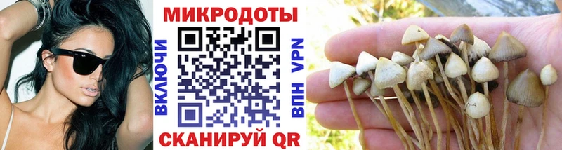 наркотики  Анадырь  Псилоцибиновые грибы мухоморы 